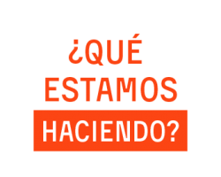 ¿Qué estamos haciendo?