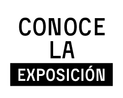 Conoce la exposición